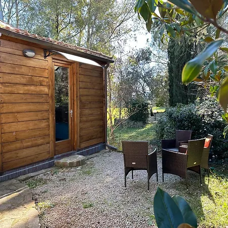Etrusco & Casetta Olivera Apartment