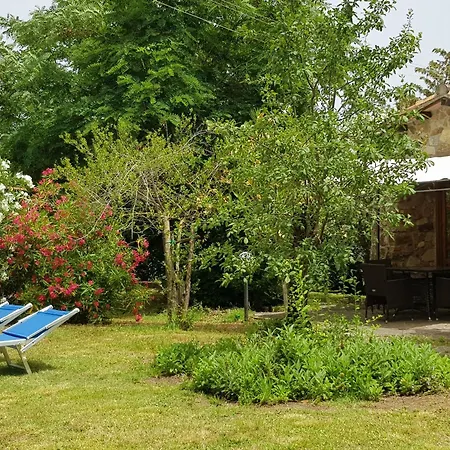 Etrusco & Casetta Olivera Ravi